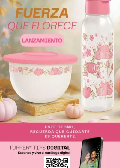 Tupperware Tips 10 2026
