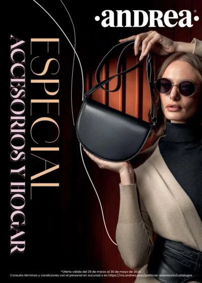Catalogo Andrea Especial Accesorios Hogar 2026